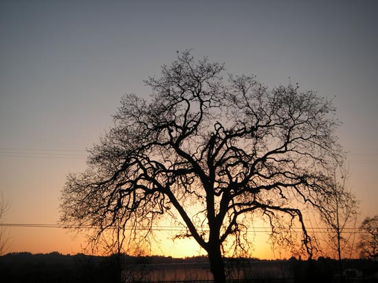 11 January 2007