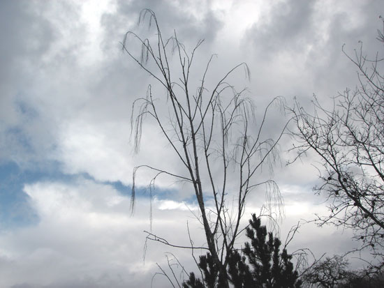 5 January 2008