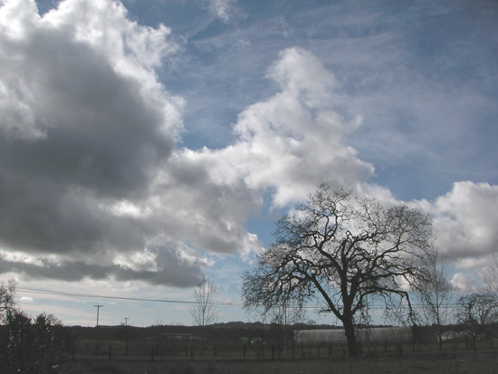 7 January 2008
