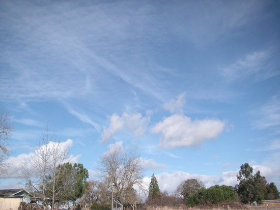 7 January 2008