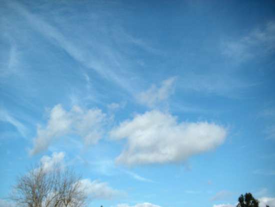 7 January 2008