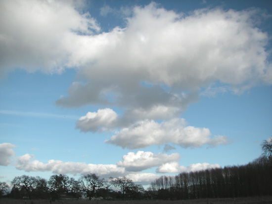 7 January 2008