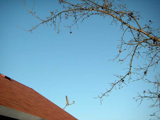 17 January 2008