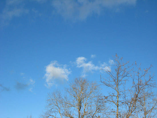 2 January 2009