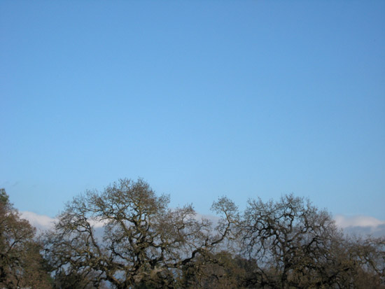 8 January 2009