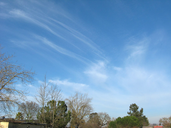 14 January 2009