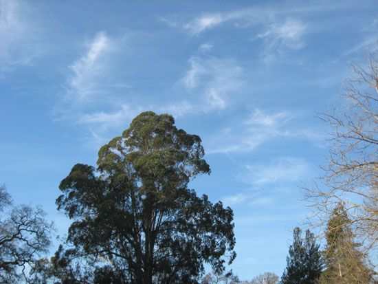 14 January 2009