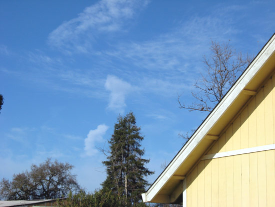3 January 2010