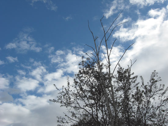 6 December 2009
