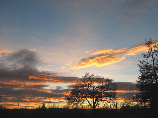 2 January 2011