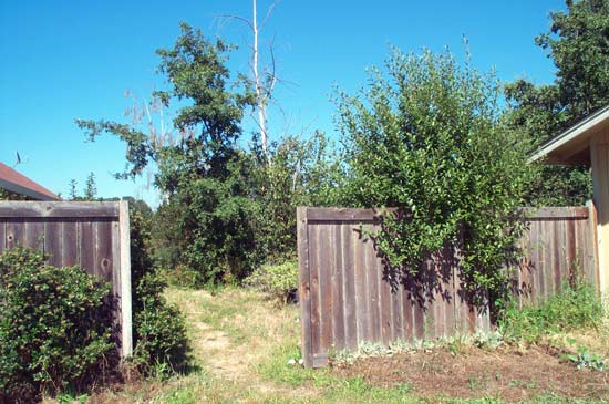 4 July 2005