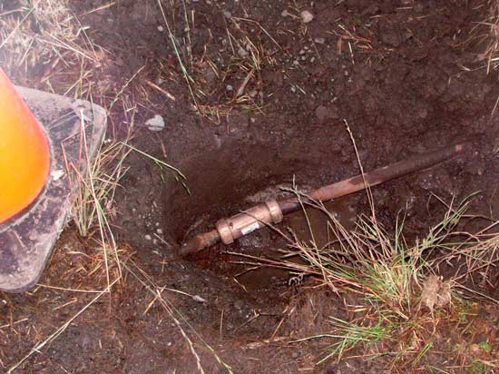 12 July 2006