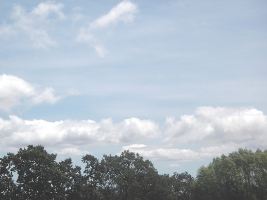 29 June 2007
