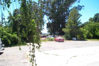 looking out my front door