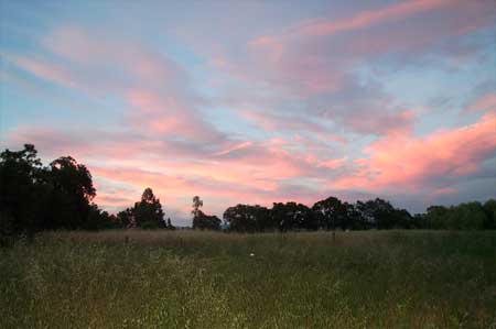 almost a sunset