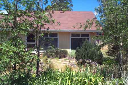 looking through the garden toward the house