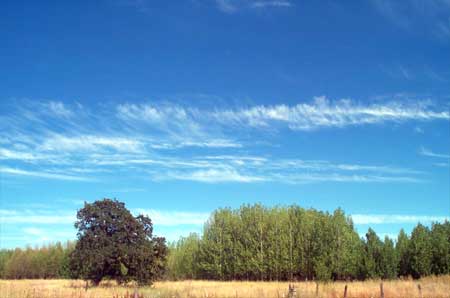clouds