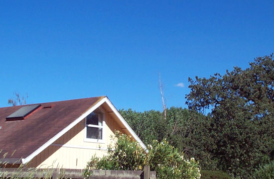 7 June 2004