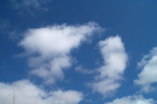 29 June 2004