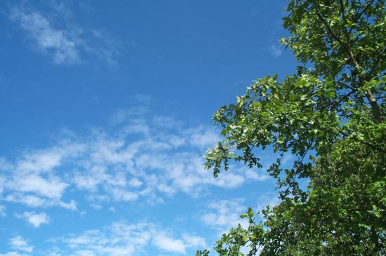 19 May 2005