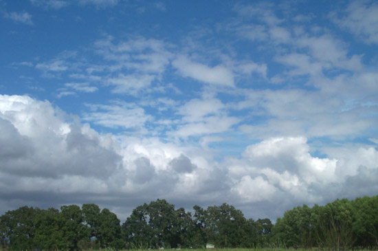 19 May 2005