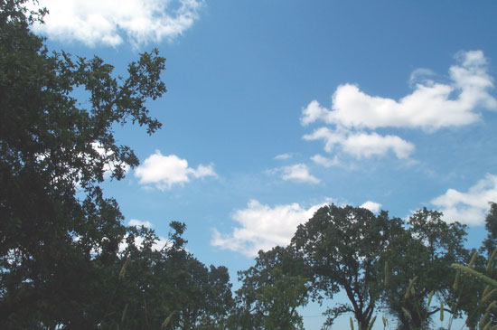 6 June 2005