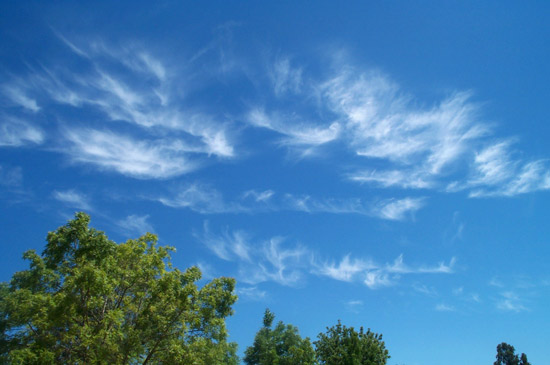 13 June 2005