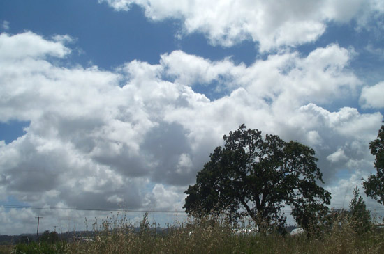 18 June 2005