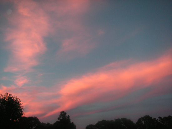 2 June 2006
