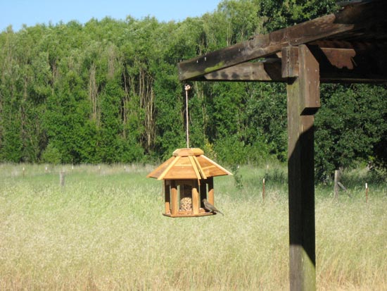 10 June 2008