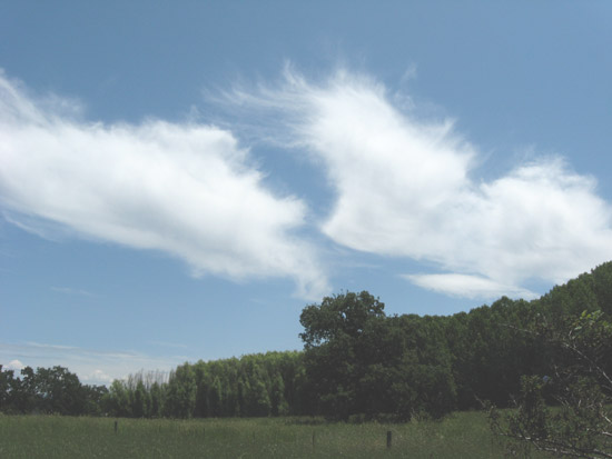 2 June 2009