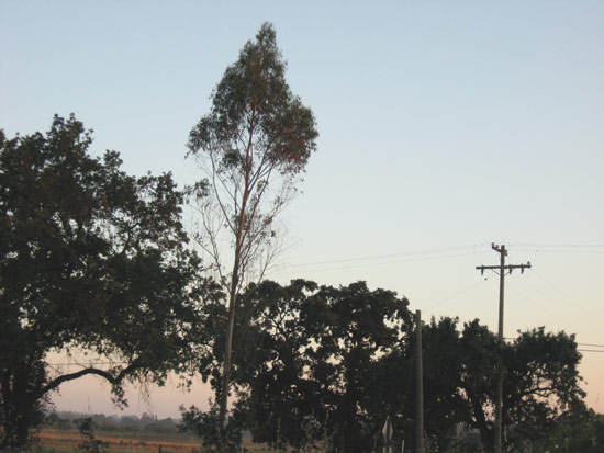 27 June 2009