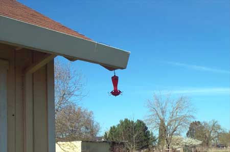 hummingbird feeder