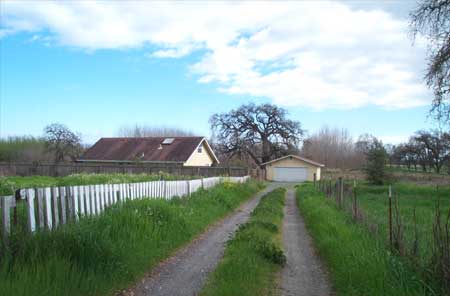 looking down the lane