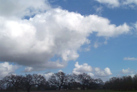 clouds in the east