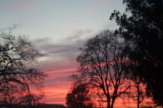 sunset