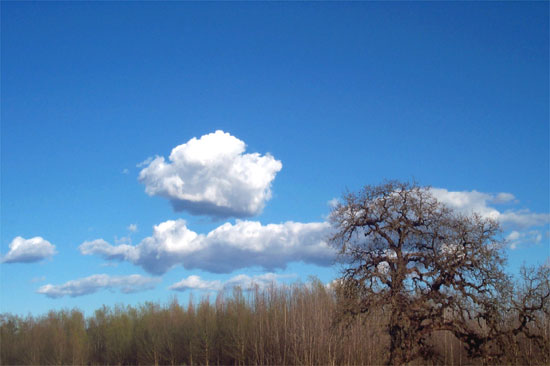 puffy clouds