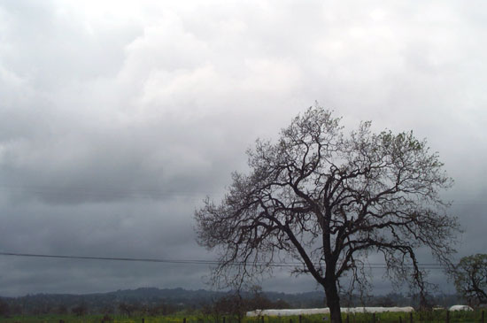 cloudy