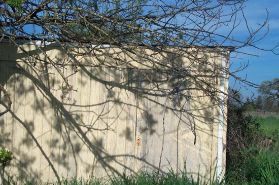 12 March 2004