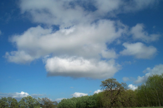 24 March 2004