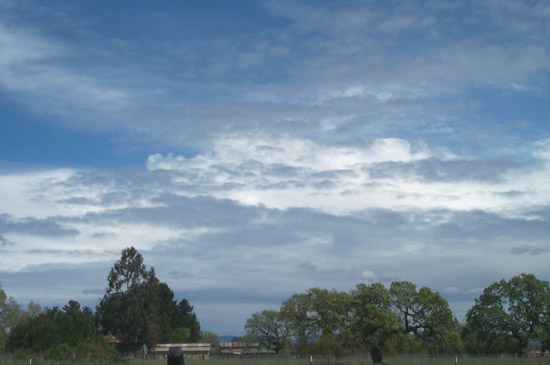 30 March 2004