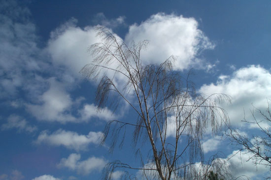28 February 2005