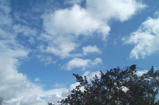 28 February 2005