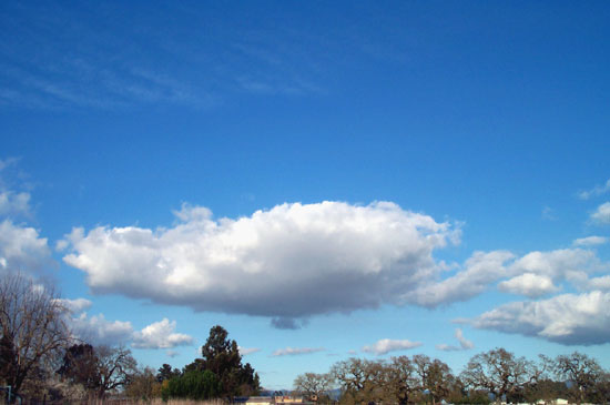 3 March 2005