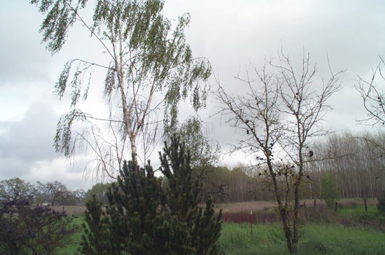 22 March 2005