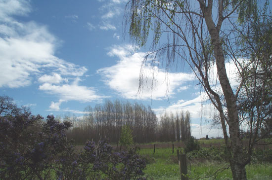 23 March 2005