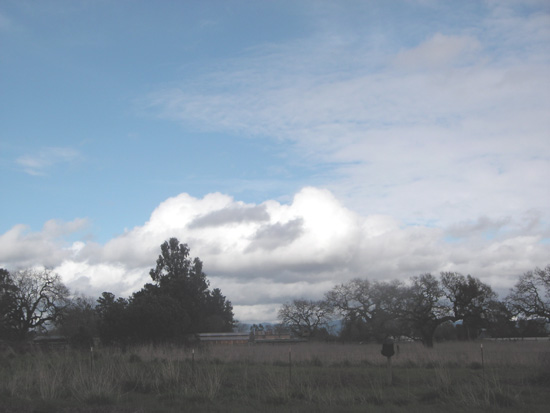 6 March 2006