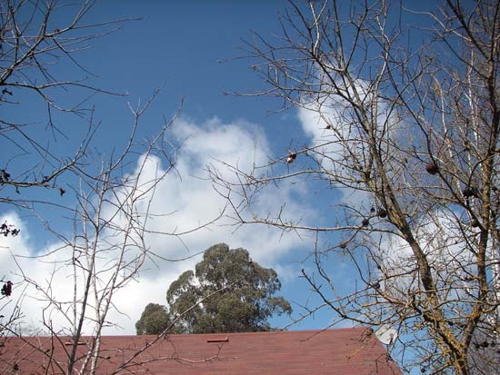 17 March 2006