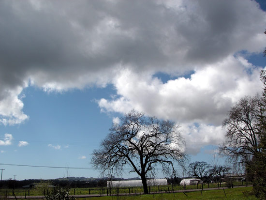 17 March 2006