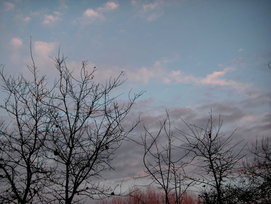 26 March 2006